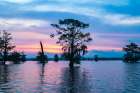 USA-Louisiana-Atchafalaya Basin-Atchafalaya Swamp-bald cypress and sunrise Art Print
